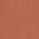 DILL TOP | TAN 6 DILL TOP | TAN - Image 6