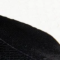 SLOANE HEEL | BLACK WHITE SNAKE EMBOSSED 9 SLOANE HEEL | BLACK WHITE SNAKE EMBOSSED - Image 9